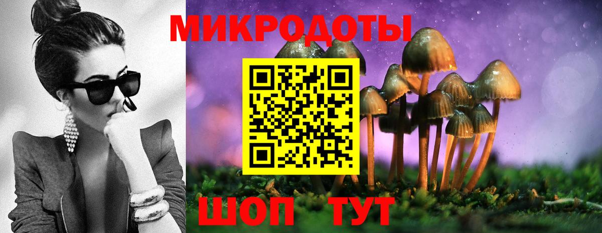 Псилоцибиновые грибы MAGIC MUSHROOMS Нерюнгри